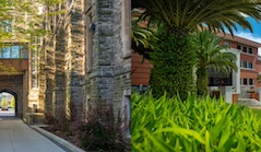 A split image showing half of a school building from  MacMaster University and half of a building from USFQ