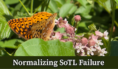 A butterfly on a plant with text that reads "Normalizing SoTL Failure"